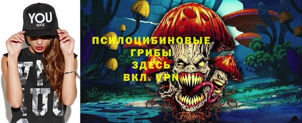 кристаллы Краснослободск