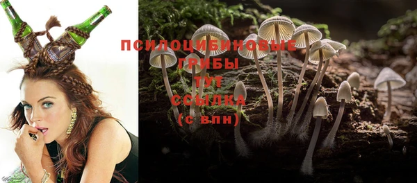 кристаллы Краснослободск
