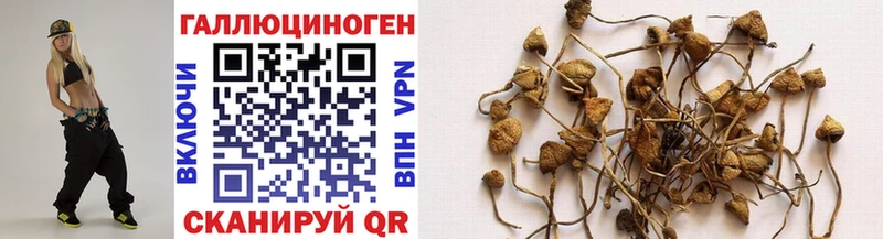 Купить закладки  Удомля  Псилоцибиновые грибы Magic Shrooms 
